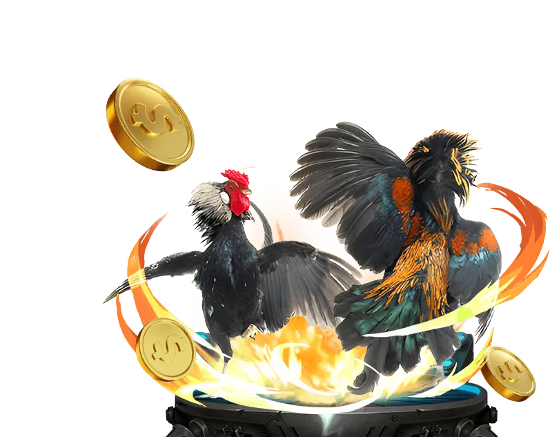 Hoàn trả hàng ngày/tuần bắn cá